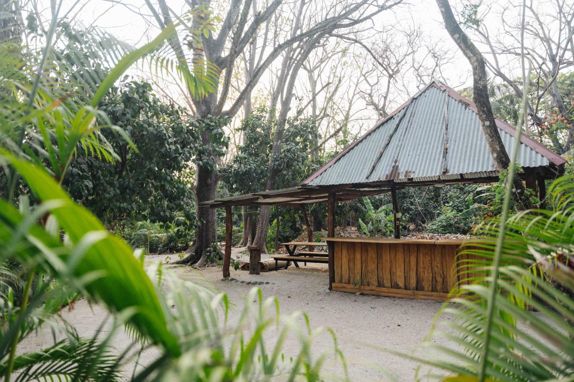 Zeneidas Surf Garden Playa Santa Teresa  Экстерьер фото