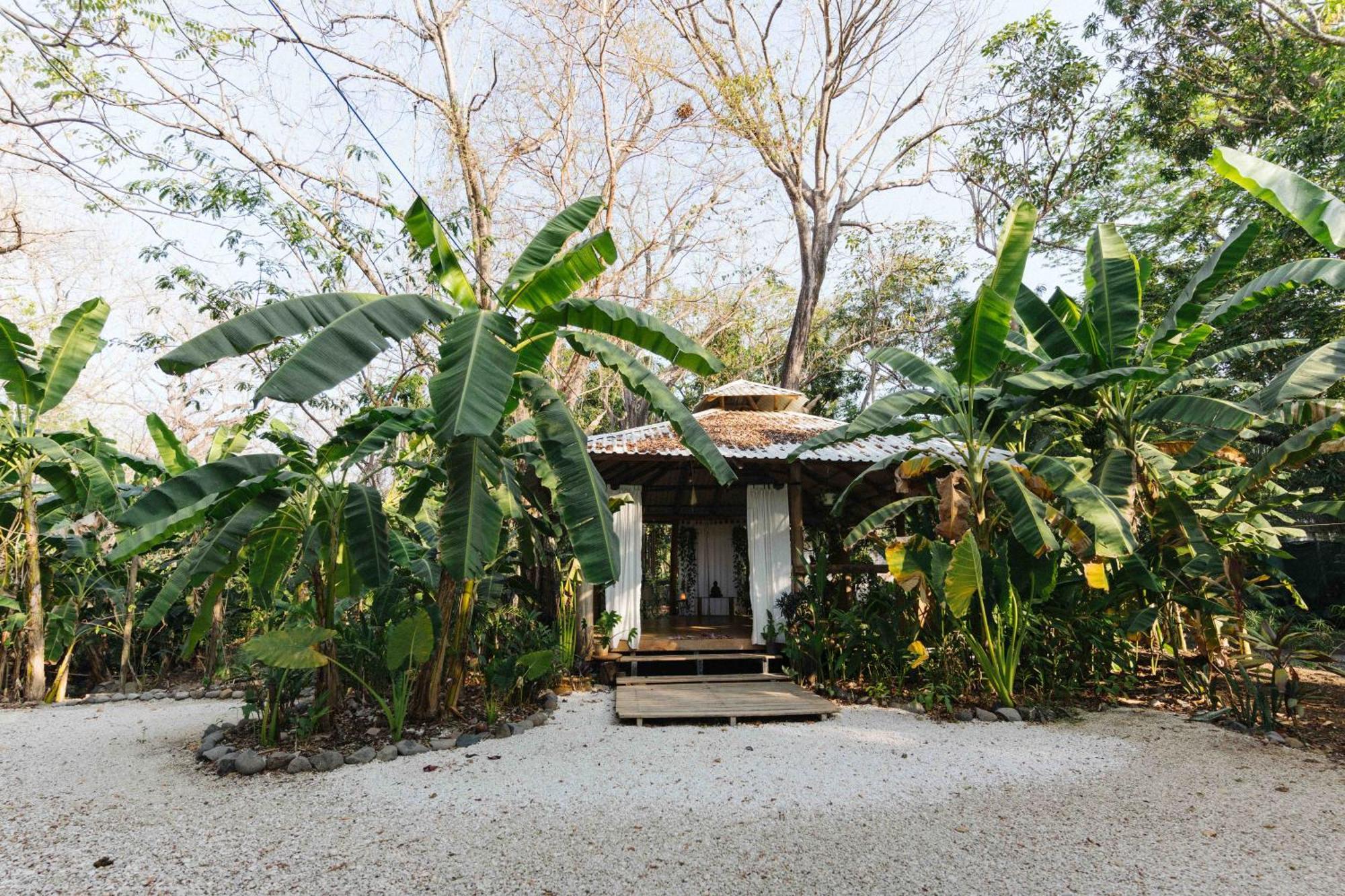Zeneidas Surf Garden Playa Santa Teresa  Экстерьер фото