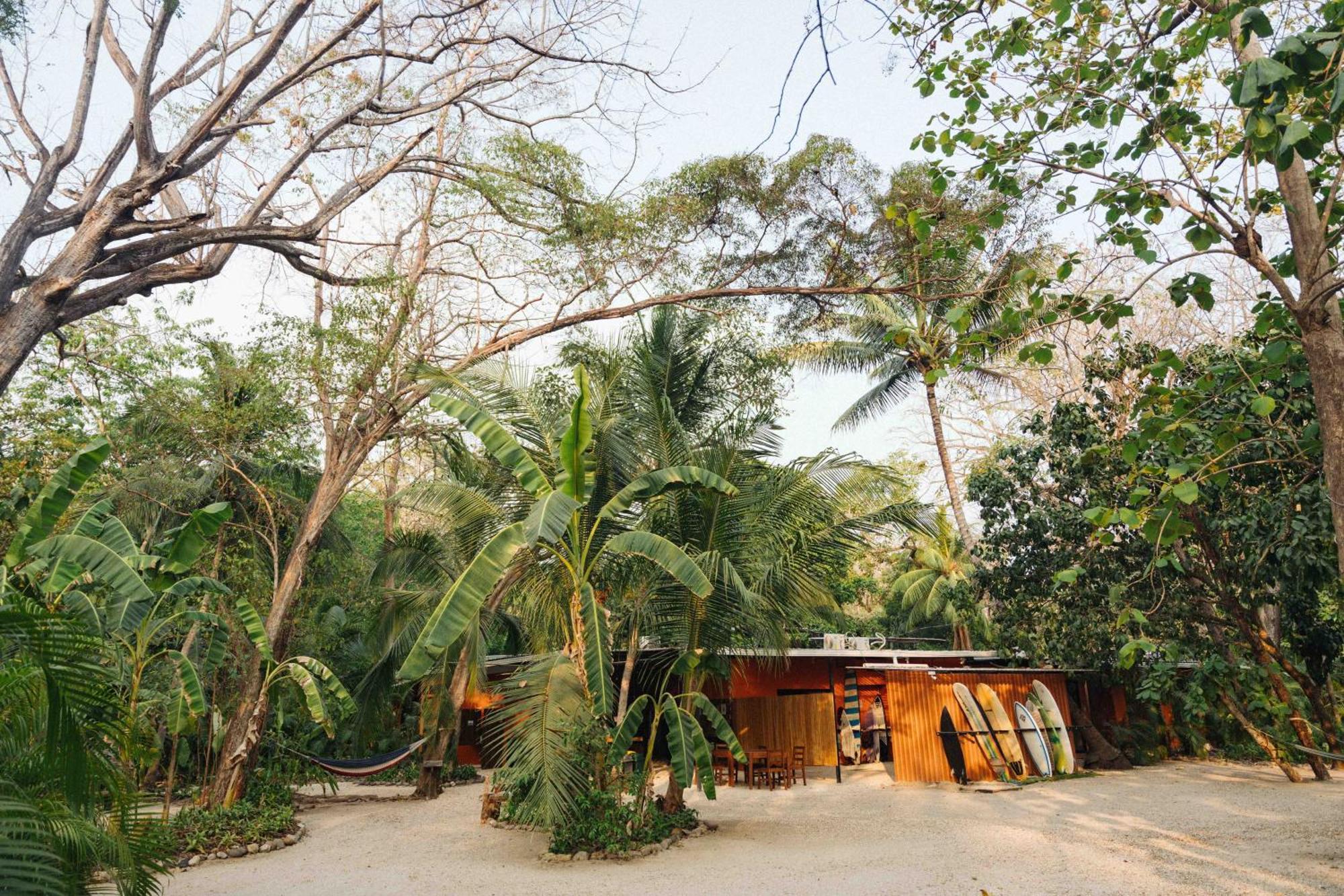 Zeneidas Surf Garden Playa Santa Teresa  Экстерьер фото